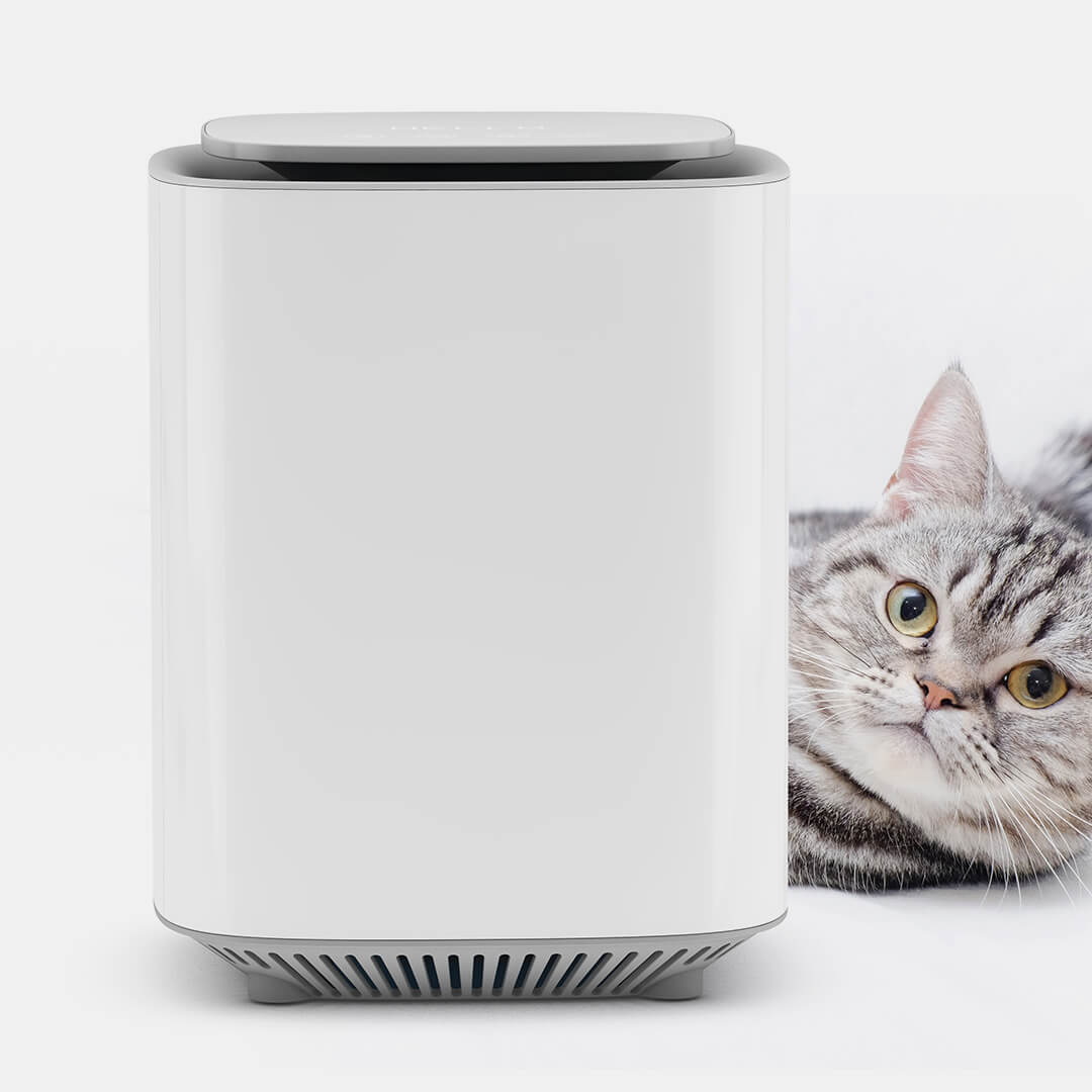 Smart WiFi Air Purifier - HEPA Filter & App Control - Bella's Home